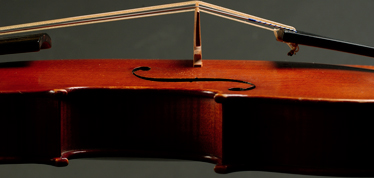 violinbridgeimage